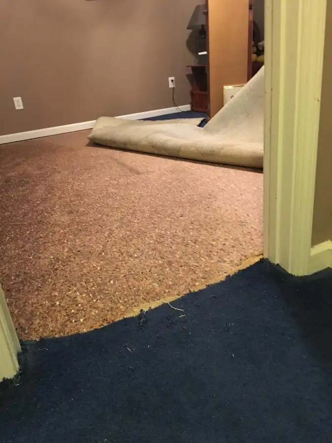 Carpet pad removal revealing water damage during Water Mitigation Services in North Haledon