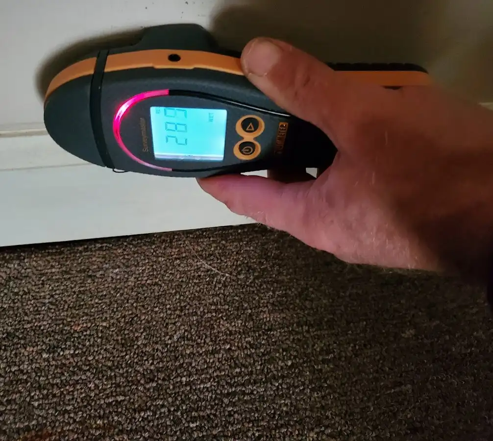 Moisture detection at baseboard during Sewage Cleanup & Sanitation in North Haledon